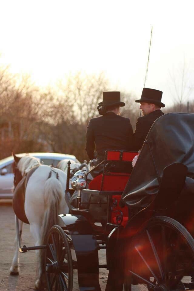 Stald Marienborg billede 25