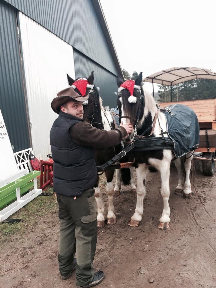 Stald Marienborg billede 27