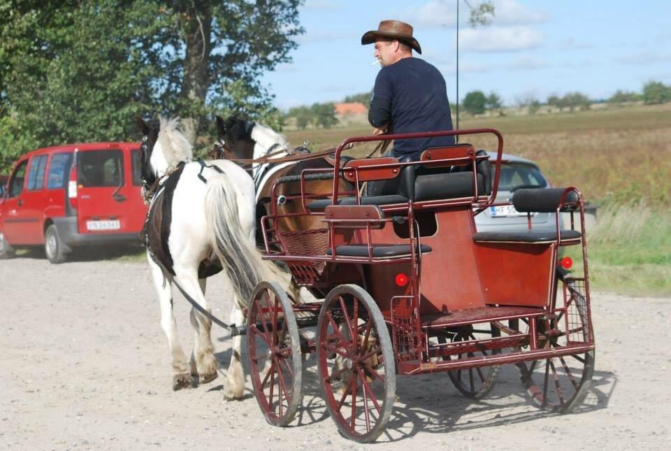 Stald Marienborg billede 28