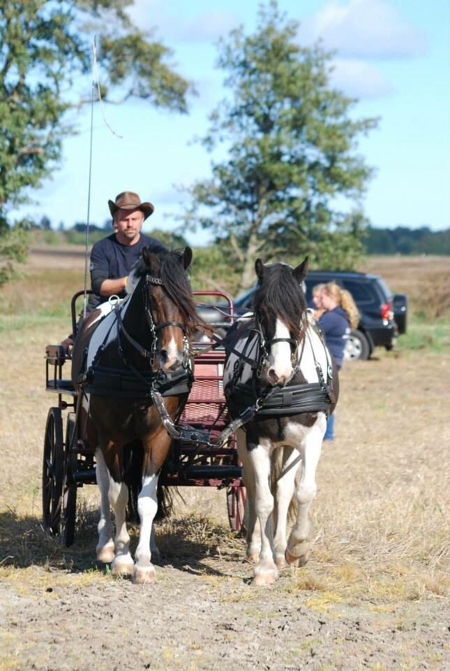 Stald Marienborg billede 29