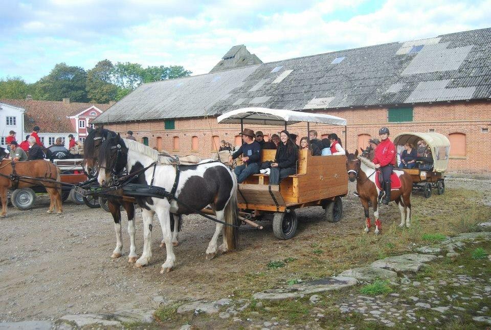 Stald Marienborg billede 26