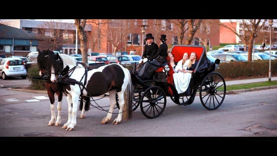 Stald Marienborg billede 34