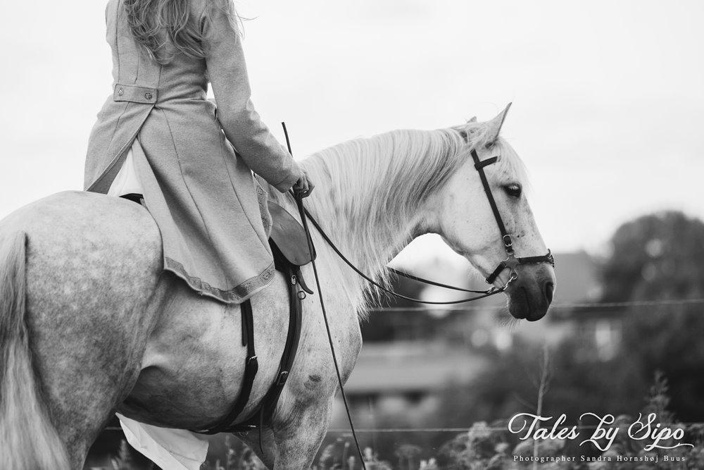 Katrine Thygesen Buur og hestene - Katrine og Zulema ... Fotograf: Tales by Sipo billede 5