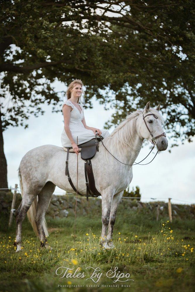 Katrine Thygesen Buur og hestene - Katrine og Zulema ... Fotograf: Tales by Sipo billede 6