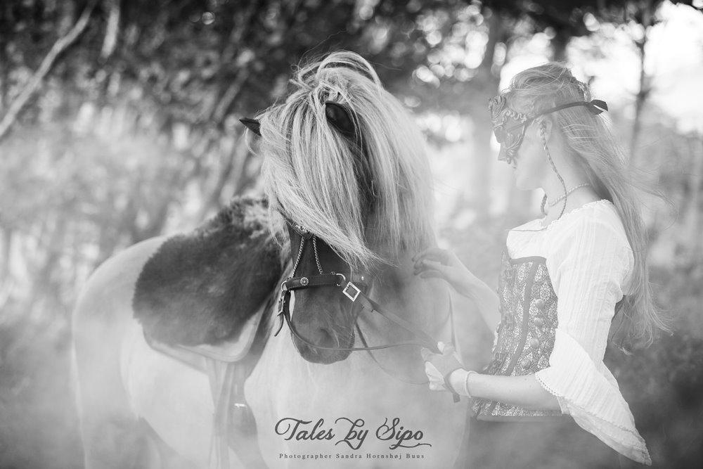Katrine Thygesen Buur og hestene - Katrine og hendes hingst Dansari ... Fotograf: Tales by Sipo billede 8