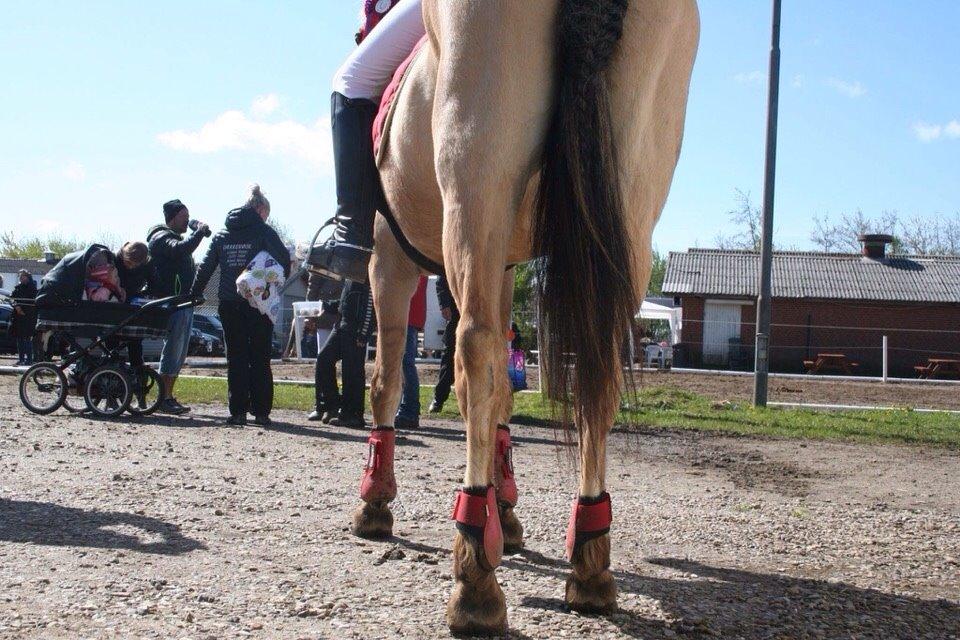 Springstævne Jordrup rideklub billede 3
