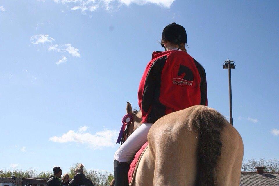 Springstævne Jordrup rideklub billede 4