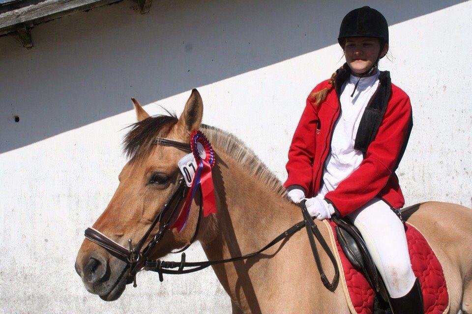 Springstævne Jordrup rideklub billede 6