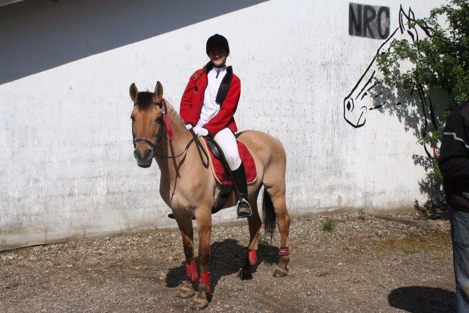 Springstævne Jordrup rideklub billede 8