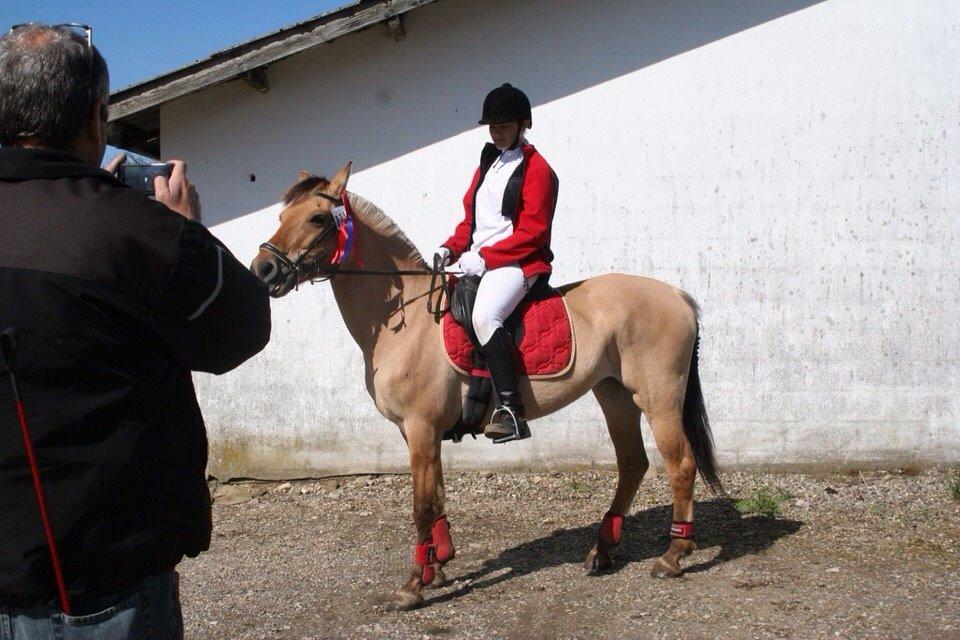 Springstævne Jordrup rideklub billede 9