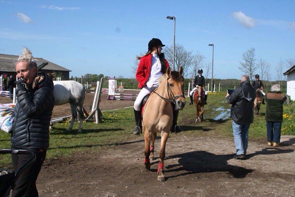 Springstævne Jordrup rideklub billede 10