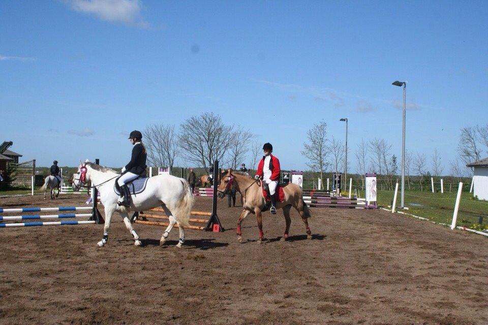 Springstævne Jordrup rideklub billede 12