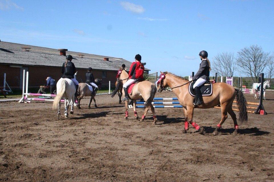 Springstævne Jordrup rideklub billede 13