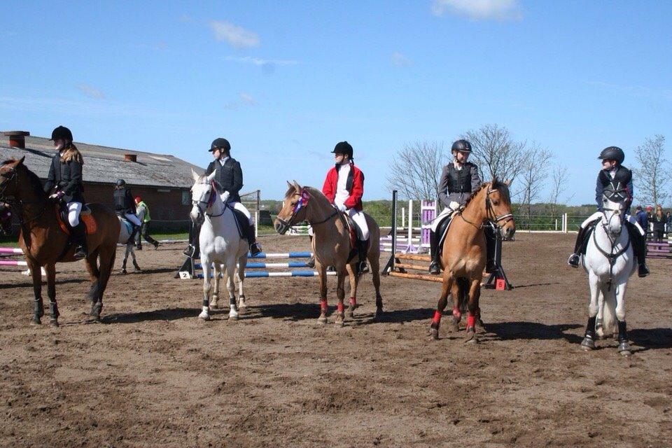 Springstævne Jordrup rideklub billede 14