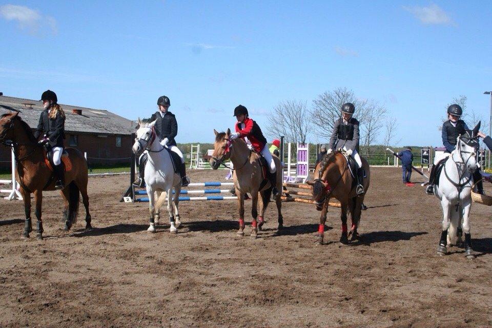 Springstævne Jordrup rideklub billede 15
