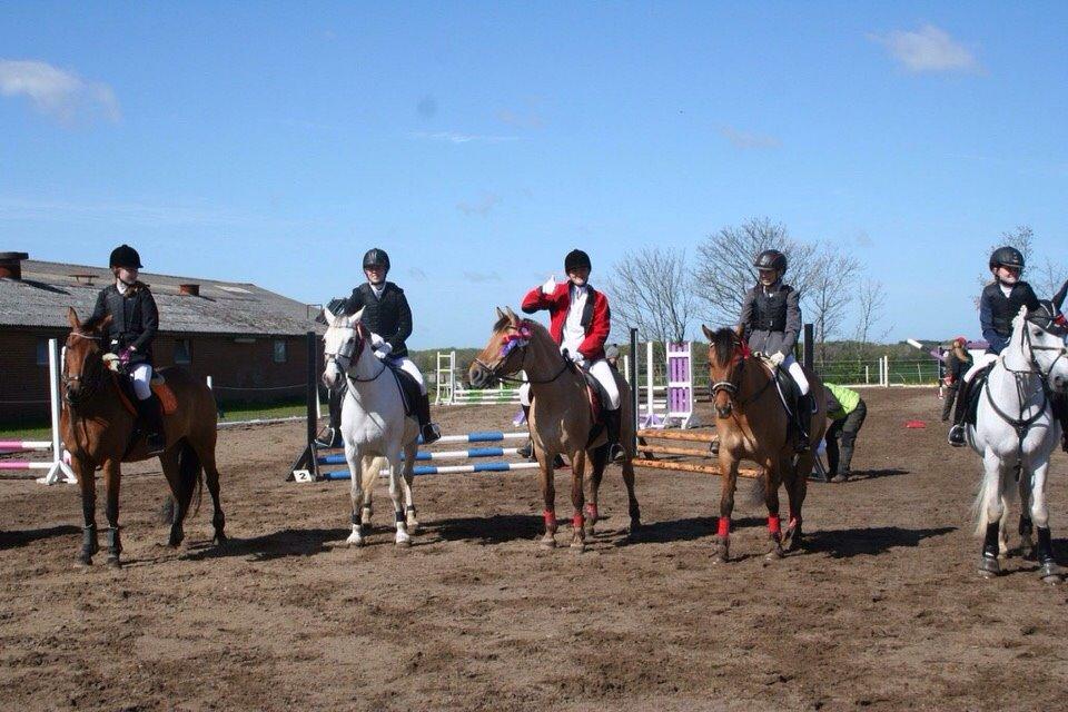 Springstævne Jordrup rideklub billede 16