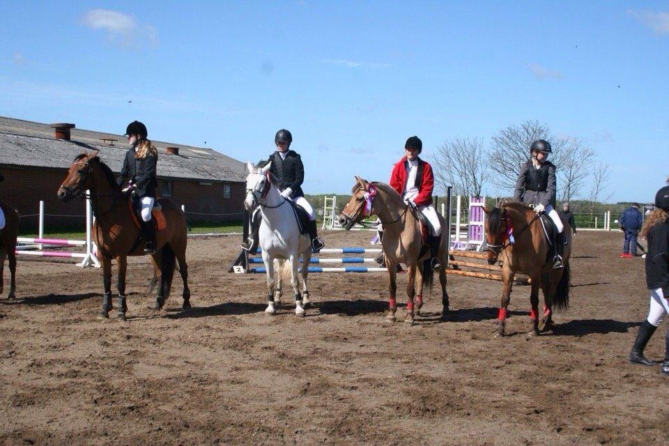 Springstævne Jordrup rideklub billede 17