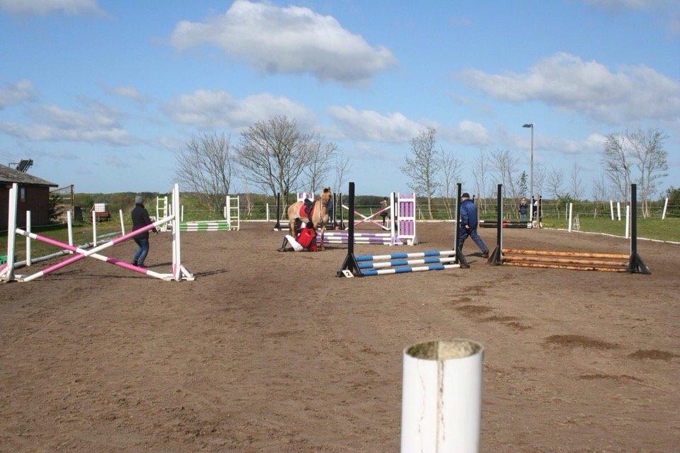 Springstævne Jordrup rideklub billede 21