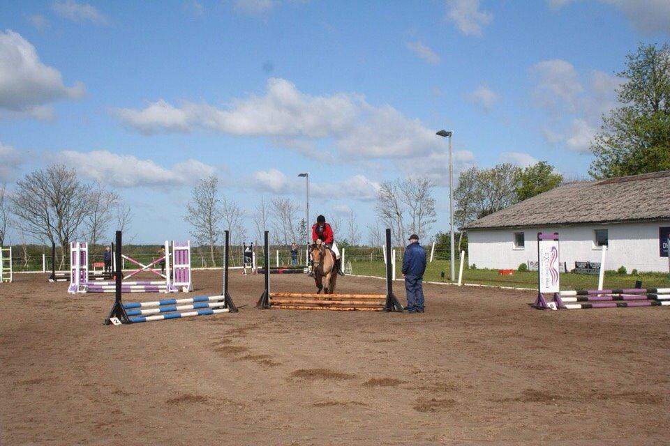 Springstævne Jordrup rideklub billede 22