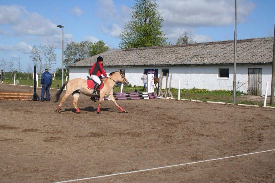 Springstævne Jordrup rideklub billede 23