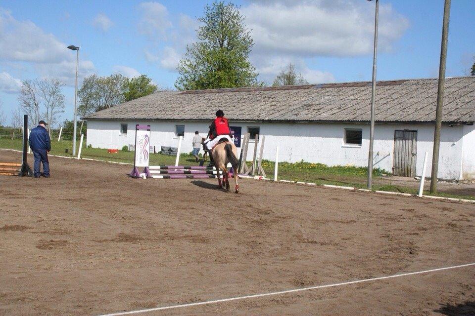 Springstævne Jordrup rideklub billede 24
