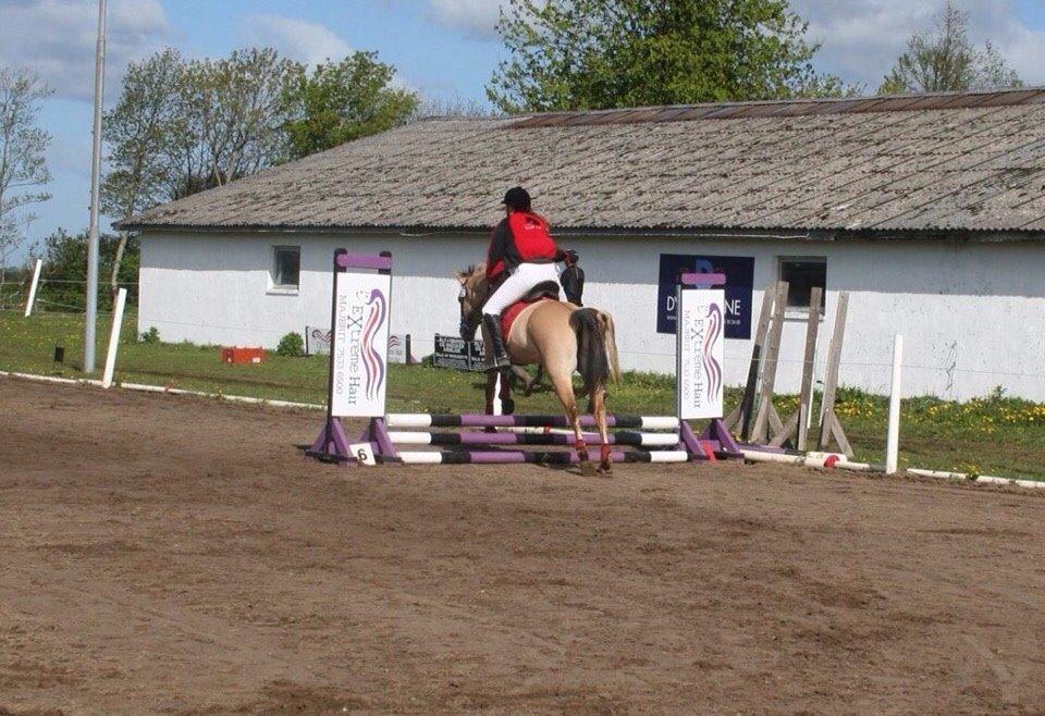 Springstævne Jordrup rideklub billede 25