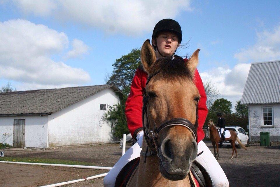 Springstævne Jordrup rideklub billede 26