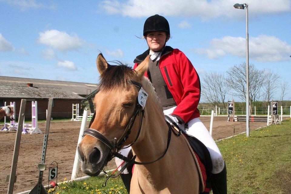 Springstævne Jordrup rideklub billede 27