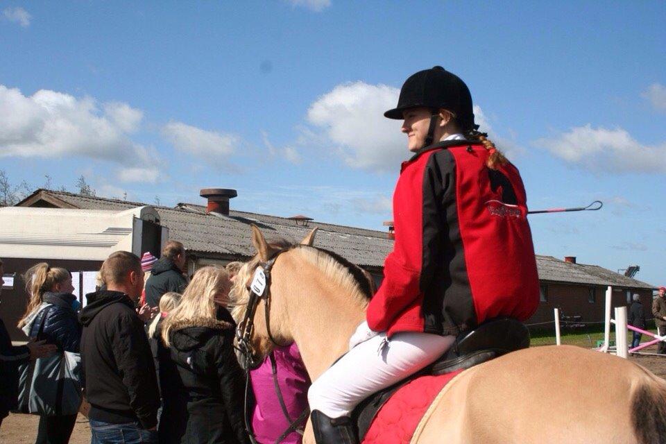 Springstævne Jordrup rideklub billede 30