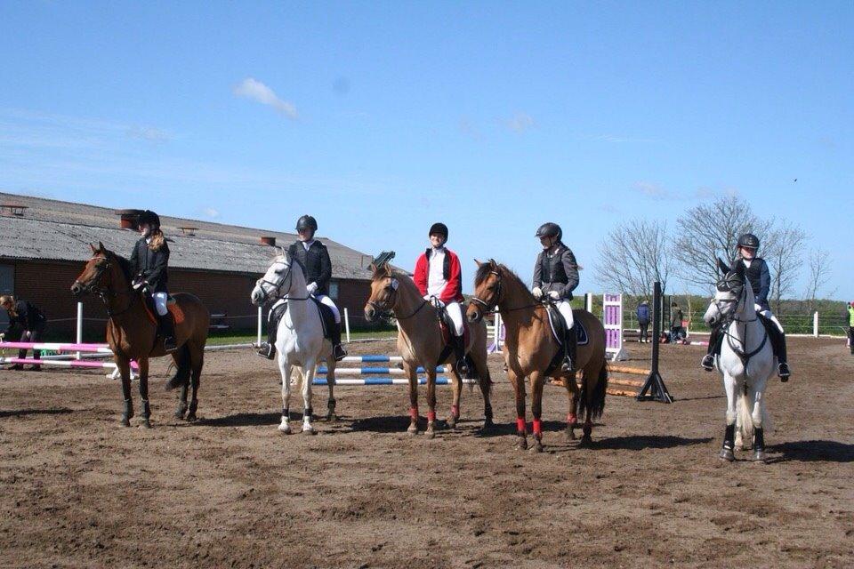 Springstævne Jordrup rideklub billede 31