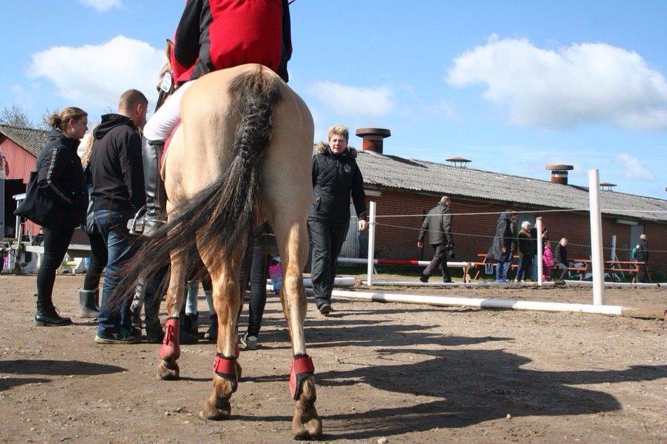 Springstævne Jordrup rideklub billede 32