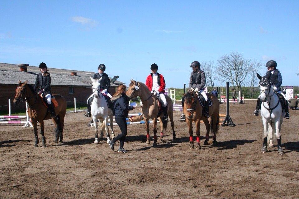 Springstævne Jordrup rideklub billede 34
