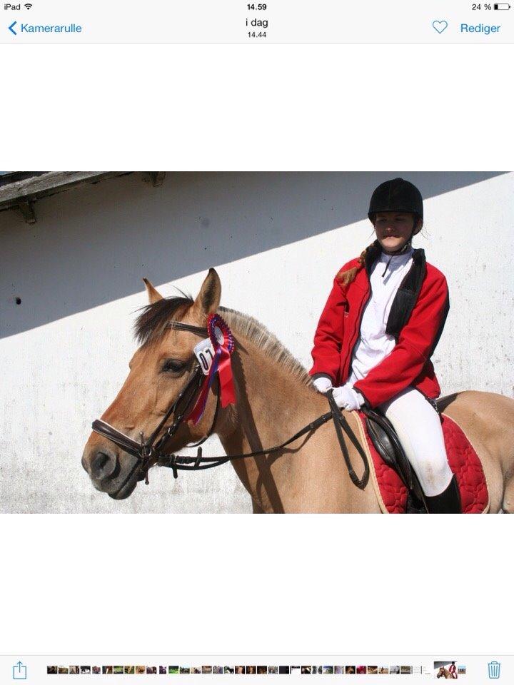 Springstævne Jordrup rideklub billede 36