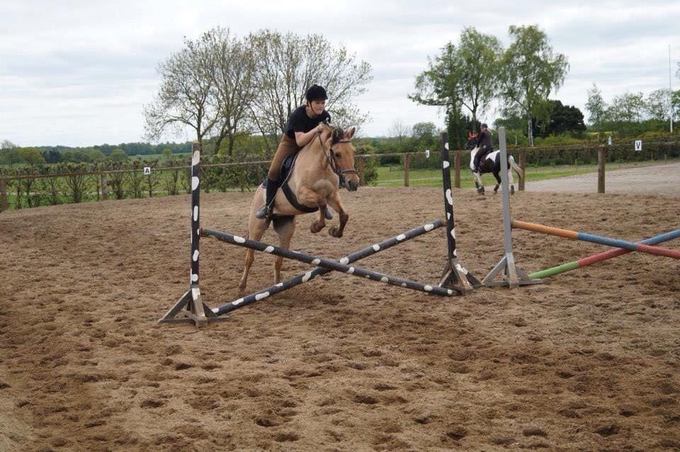 Springdag på Paulinesminde billede 2