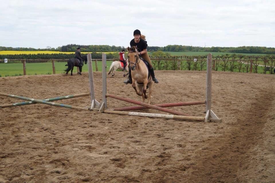 Springdag på Paulinesminde billede 3