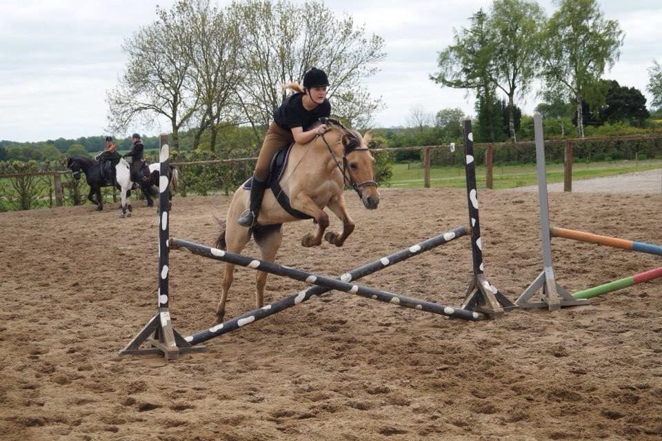 Springdag på Paulinesminde billede 1