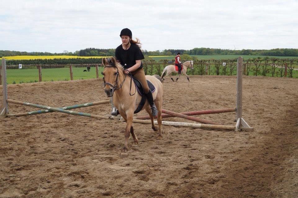 Springdag på Paulinesminde billede 4