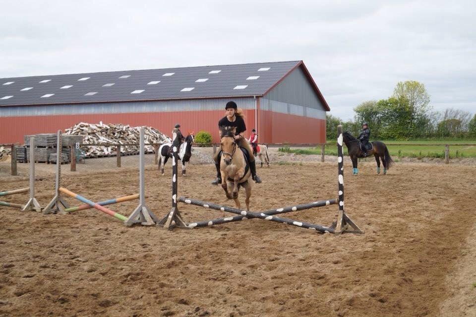 Springdag på Paulinesminde billede 5