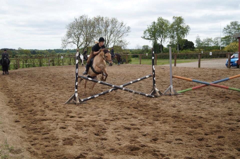 Springdag på Paulinesminde billede 6