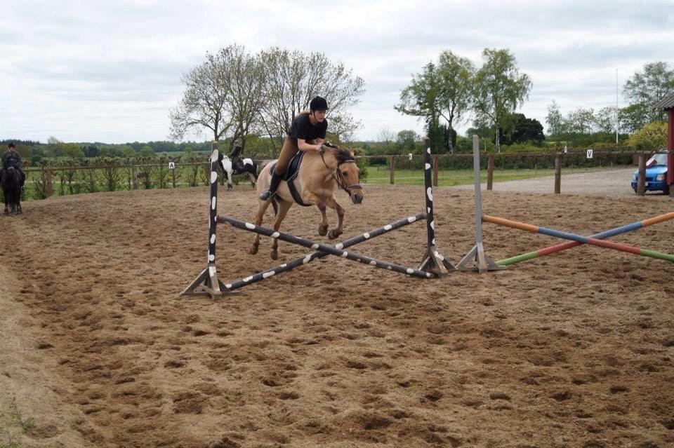 Springdag på Paulinesminde billede 7