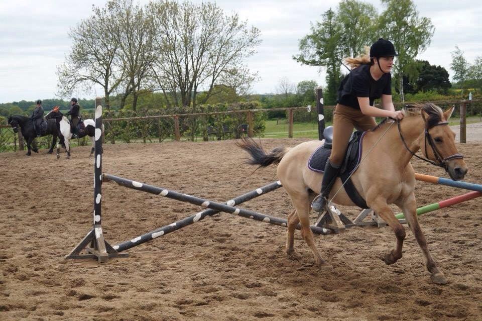 Springdag på Paulinesminde billede 8