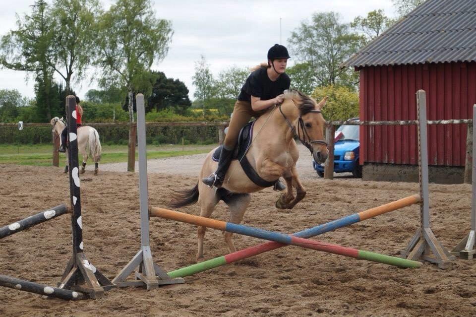 Springdag på Paulinesminde billede 10