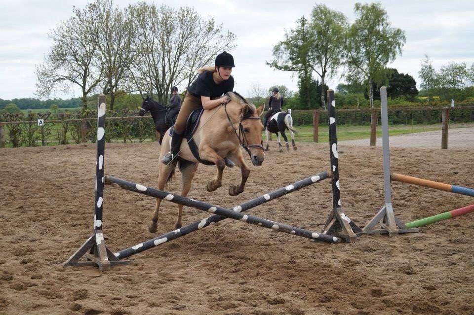 Springdag på Paulinesminde billede 11