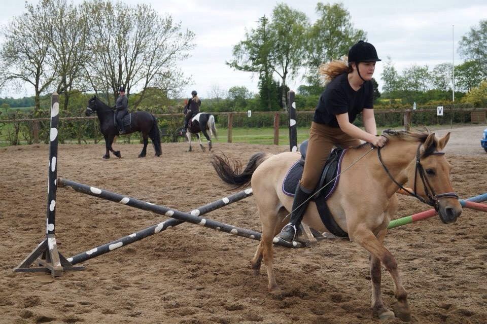 Springdag på Paulinesminde billede 12