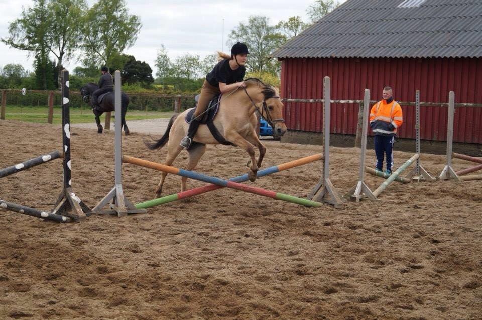 Springdag på Paulinesminde billede 13