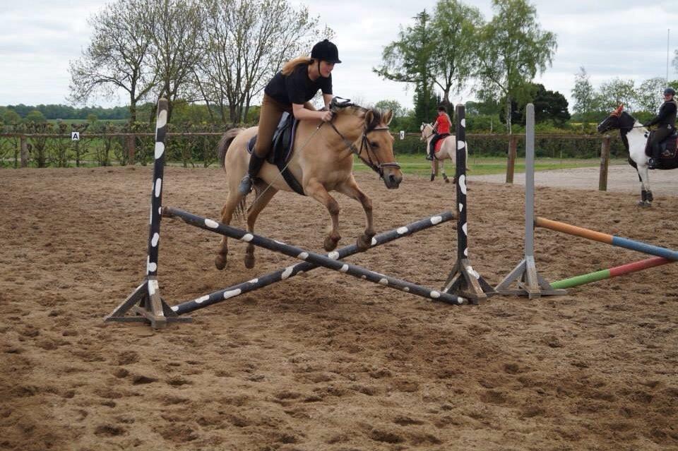 Springdag på Paulinesminde billede 15