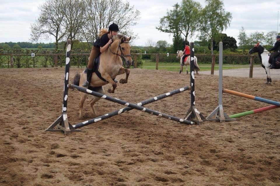 Springdag på Paulinesminde billede 14