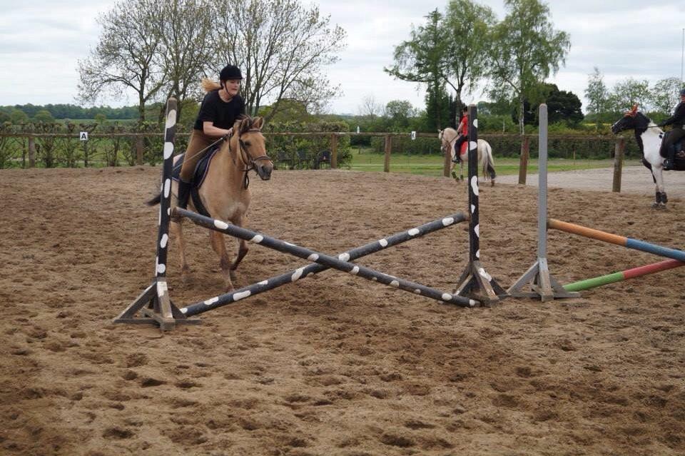 Springdag på Paulinesminde billede 16