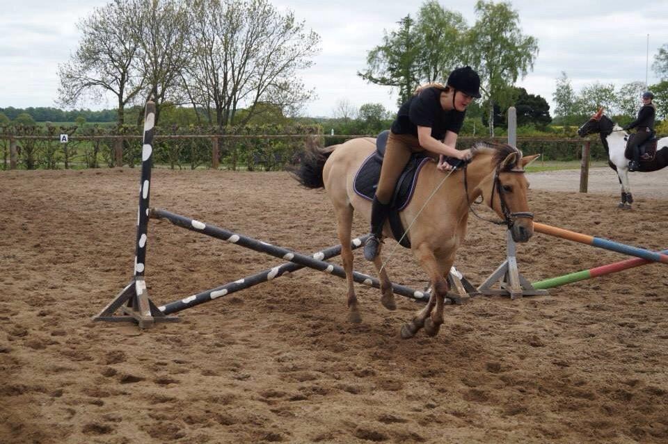 Springdag på Paulinesminde billede 17