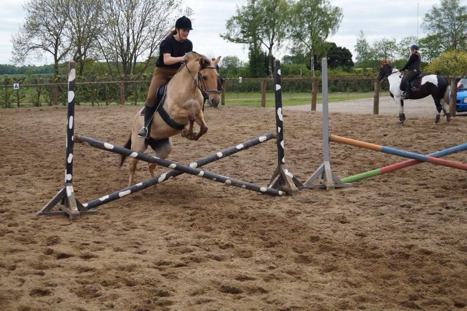 Springdag på Paulinesminde billede 18